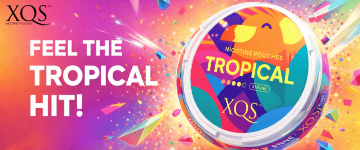 XQS Nicotine Pouches